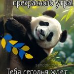 Доброе утро картинка 17