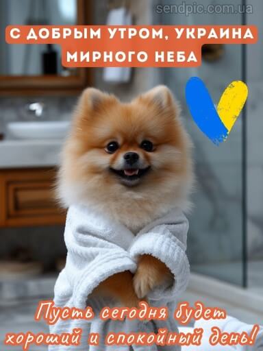 Доброе утро Украина картинка 5 скачать бесплатно