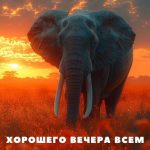 Картинка доброго вечера 7 скачать бесплатно