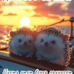 Картинка доброго вечера 4 скачать бесплатно