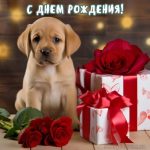 Открытки с днем рождения для мужчин 19 скачать бесплатно