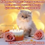 Cтильна листівка з днем народження жінці 16 скачати безкоштовно