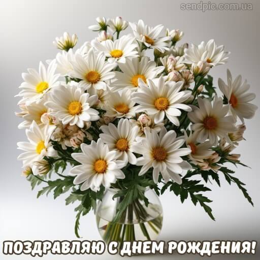Картинка с днем рождения цветы хризантема 6 скачать бесплатно