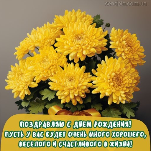 Картинка с днем рождения цветы хризантема 3 скачать бесплатно