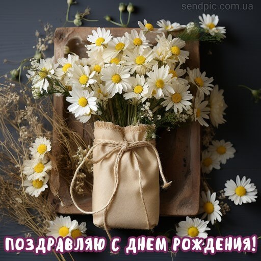Картинка с днем рождения цветы ромашка 8 скачать бесплатно