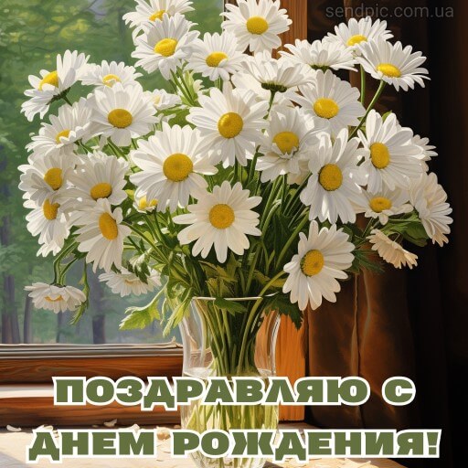 Картинка с днем рождения цветы ромашка 5 скачать бесплатно