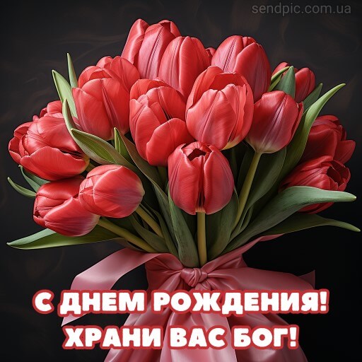 Картинка с днем рождения цветы тюльпана 5 скачать бесплатно