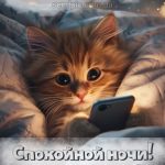 Спокойной ночи картинка 7 скачать бесплатно