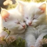З суботою картинка 1 скачати безкоштовно