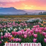 З суботою картинка 11 скачати безкоштовно