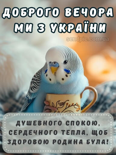 Доброго вечора ми з України картинка 25 скачати безкоштовно