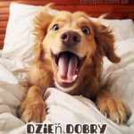 Kartka dzień dobry 16 do pobrania za darmo