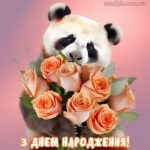 Картинка з днем народження 25 скачати безкоштовно