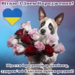 Картинка з днем народження 6 скачати безкоштовно