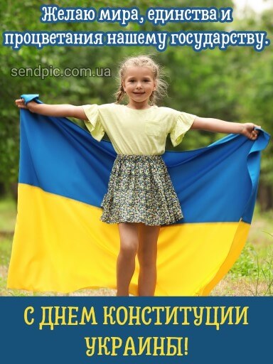 Картинка с днем Конституции Украины 4 скачать бесплатно