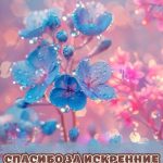 Спасибо за поздравления картинка 23 скачать бесплатно