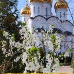 Гарна картинка з вознесінням господнім 12 скачати безкоштовно