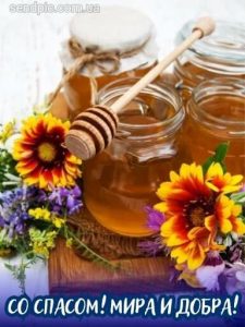 С Медовым Спасом картинка 15 скачать безплатно