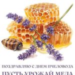 C днем пасечника картинка 3 скачать безплатно