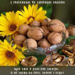 З Горіховим Спасом картинка 2 скачати безкоштовно