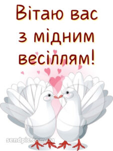 7 років весілля картинки скачати 8