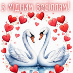 7 років весілля картинки скачати 9