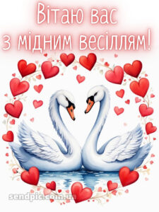 7 років весілля картинки скачати 9