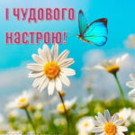 Доброго ранку гарного настрою 4