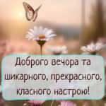 Доброго вечора, гарного настрою 11