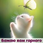 Доброго вечора, гарного настрою 6