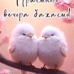 Доброго вечора, гарного настрою 7
