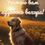 Доброго вечора, гарного настрою 9