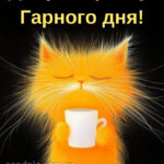 Гарного настрою доброго ранку гарного дня 12