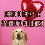 Гарного настрою доброго ранку гарного дня 8