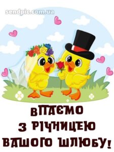 З річницею весілля: картинки прикольні 11