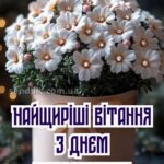 Букети жінці вишукані листівки з днем народження 12