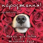 Прикольні привітання жінці вишукані листівки з днем народження 4