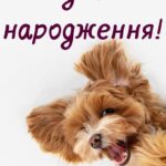 Прикольні привітання жінці вишукані листівки з днем народження 7