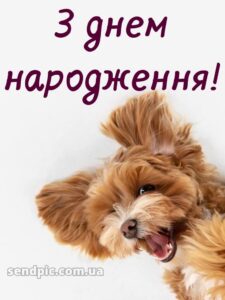 Прикольні привітання жінці вишукані листівки з днем народження 7