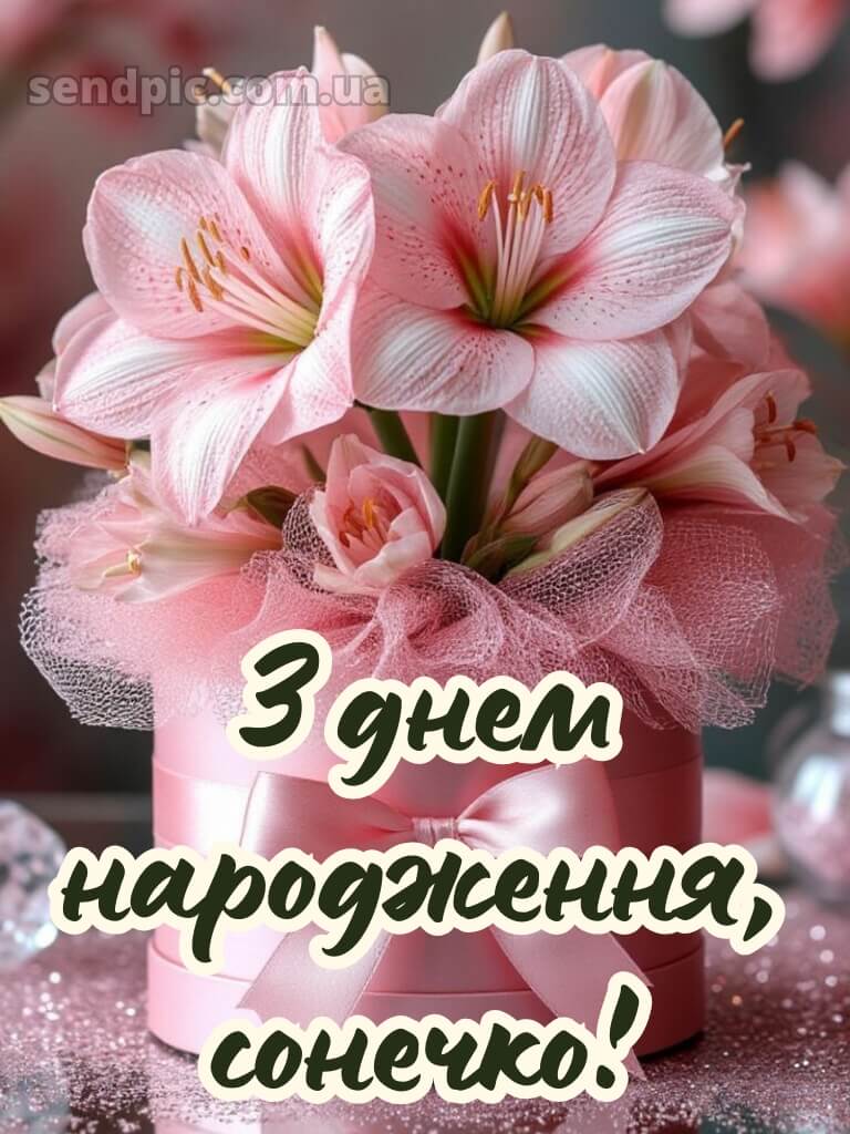 Дівчинці з днем народження красуня 6