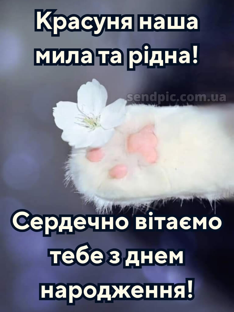 Красуня з днем народження красунечка 15