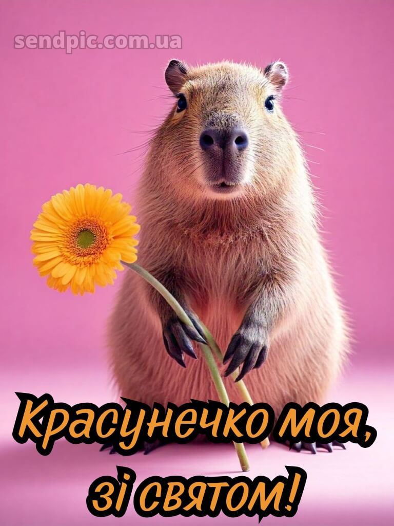 Подруга привітання з днем народження подрузі своїми словами 15