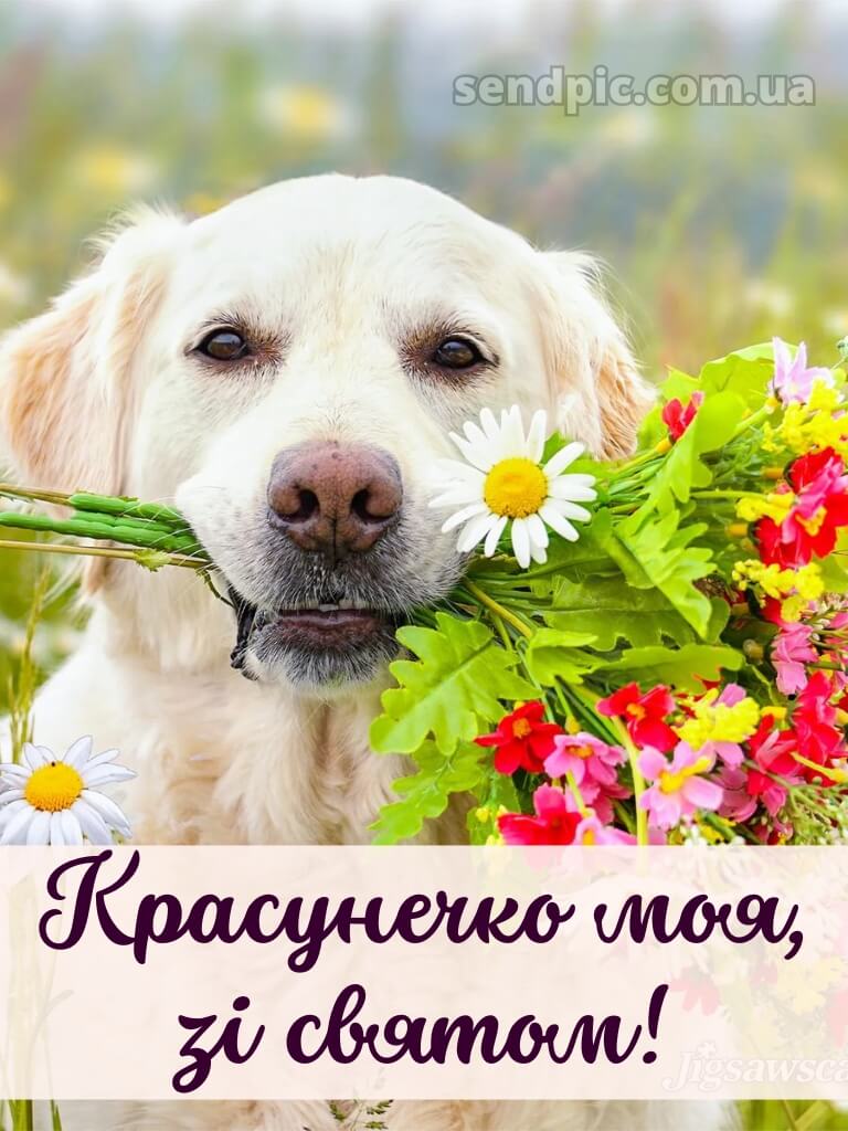 Подруга привітання з днем народження подрузі своїми словами 2