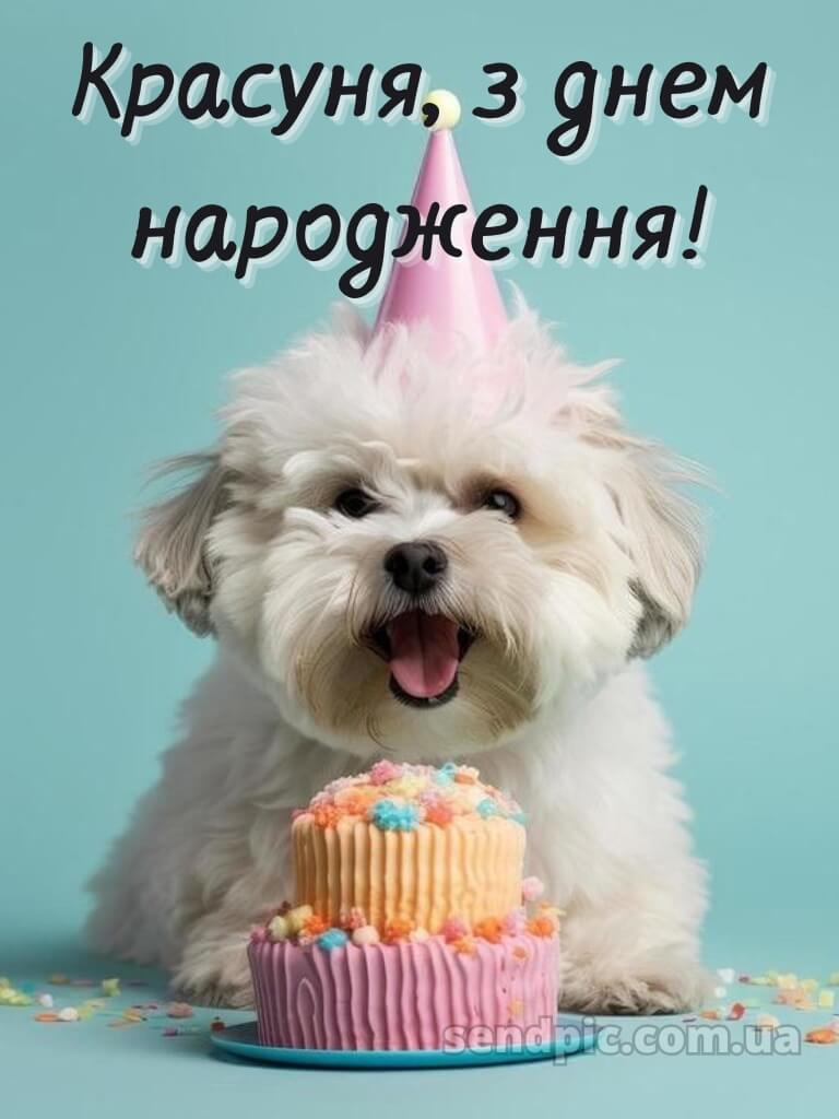 Поздоровлення з днем народження подрузі 14
