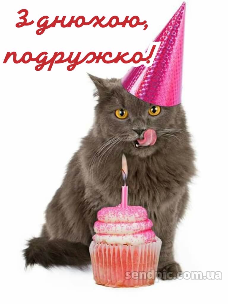 Привітання з днем народження подрузі: прикольні 12