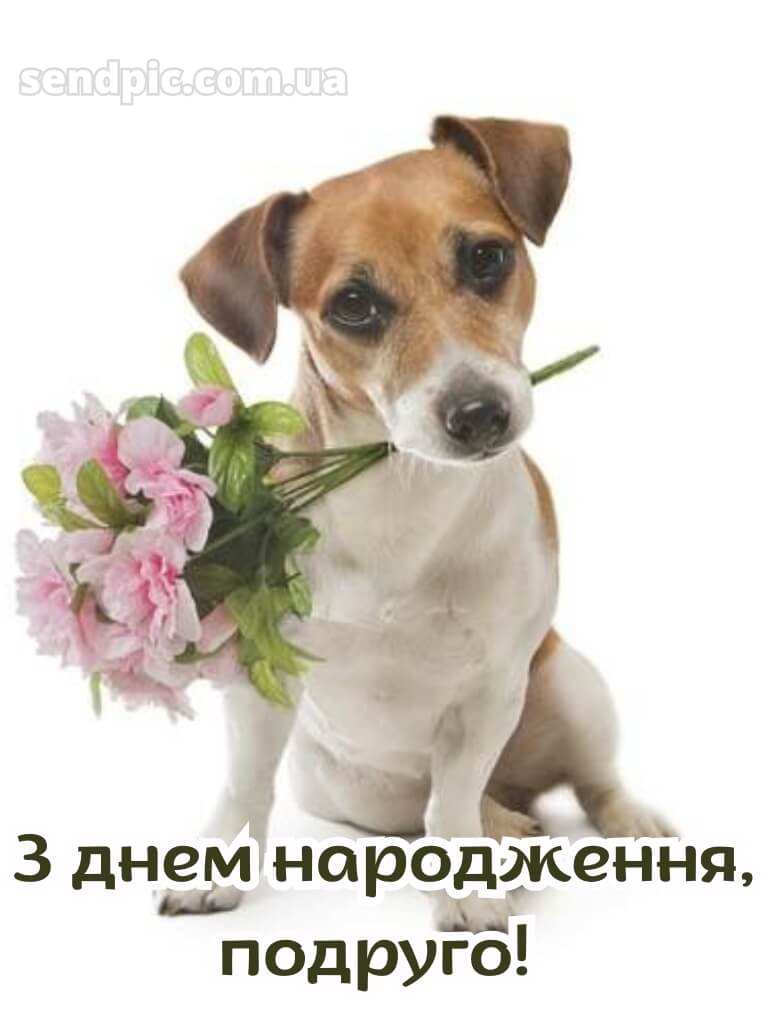 Привітання з днем народження подрузі: прикольні 13