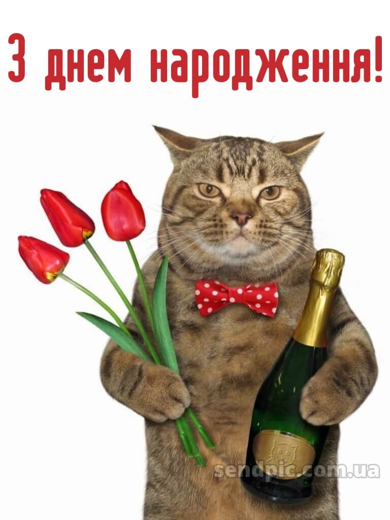 Привітання з днем народження подрузі: прикольні 9