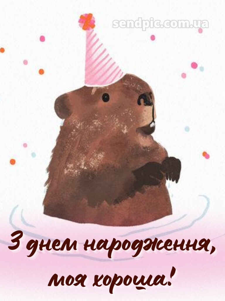 Смішні картинки з днем народження подрузі 9