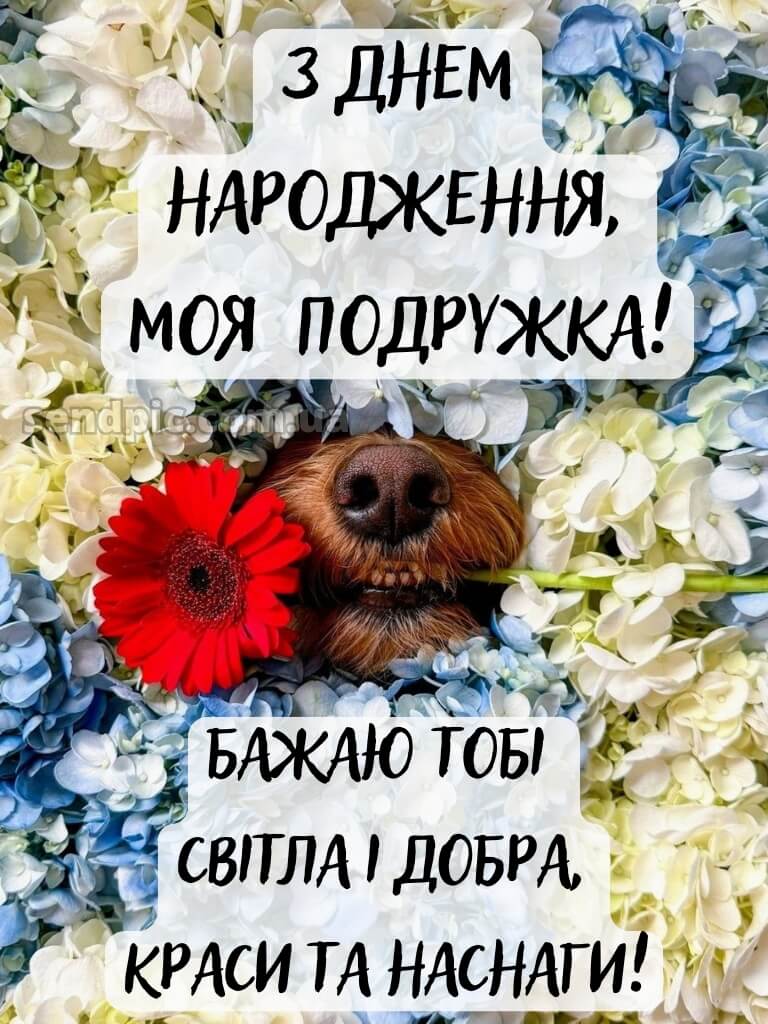 Вітання подрузі з днем народження 12
