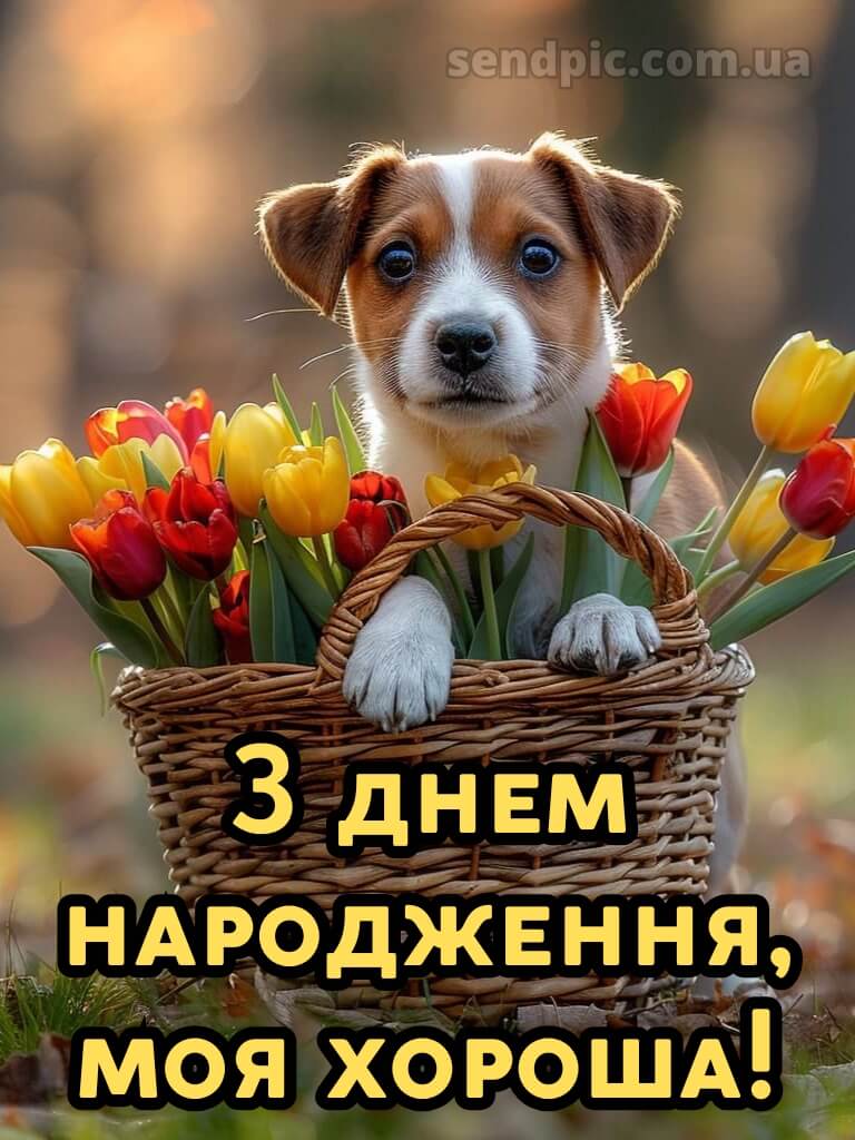 Вітання подрузі з днем народження 9